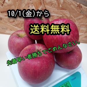 【訳あり数量限定】青森の完熟りんご　約1.8kgりんごの定番　ふじ　リンゴ