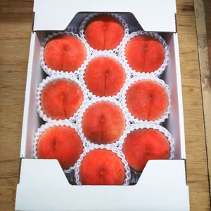 川中島白桃　家庭用