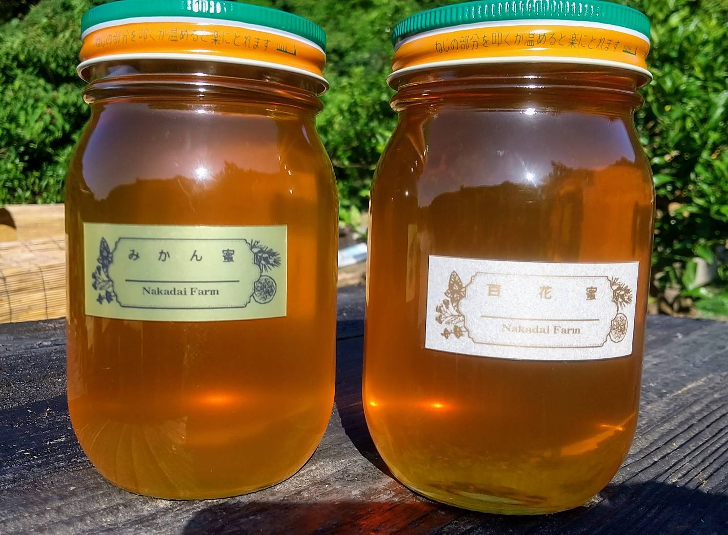 【非加熱、純粋はちみつ】希少蜂蜜 みかん蜜150g×5本 750g homik00.jpg