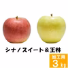 信州 王林&スイート【訳あり3kg】2種食べ比べセット☆10月上旬頃出荷開始