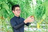 ☀️おひさま育ち☀️天然アミノ酸パワーで元気いっぱい‼️のミニトマト