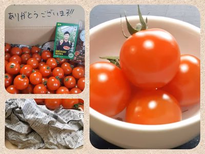 みんなの投稿の画像