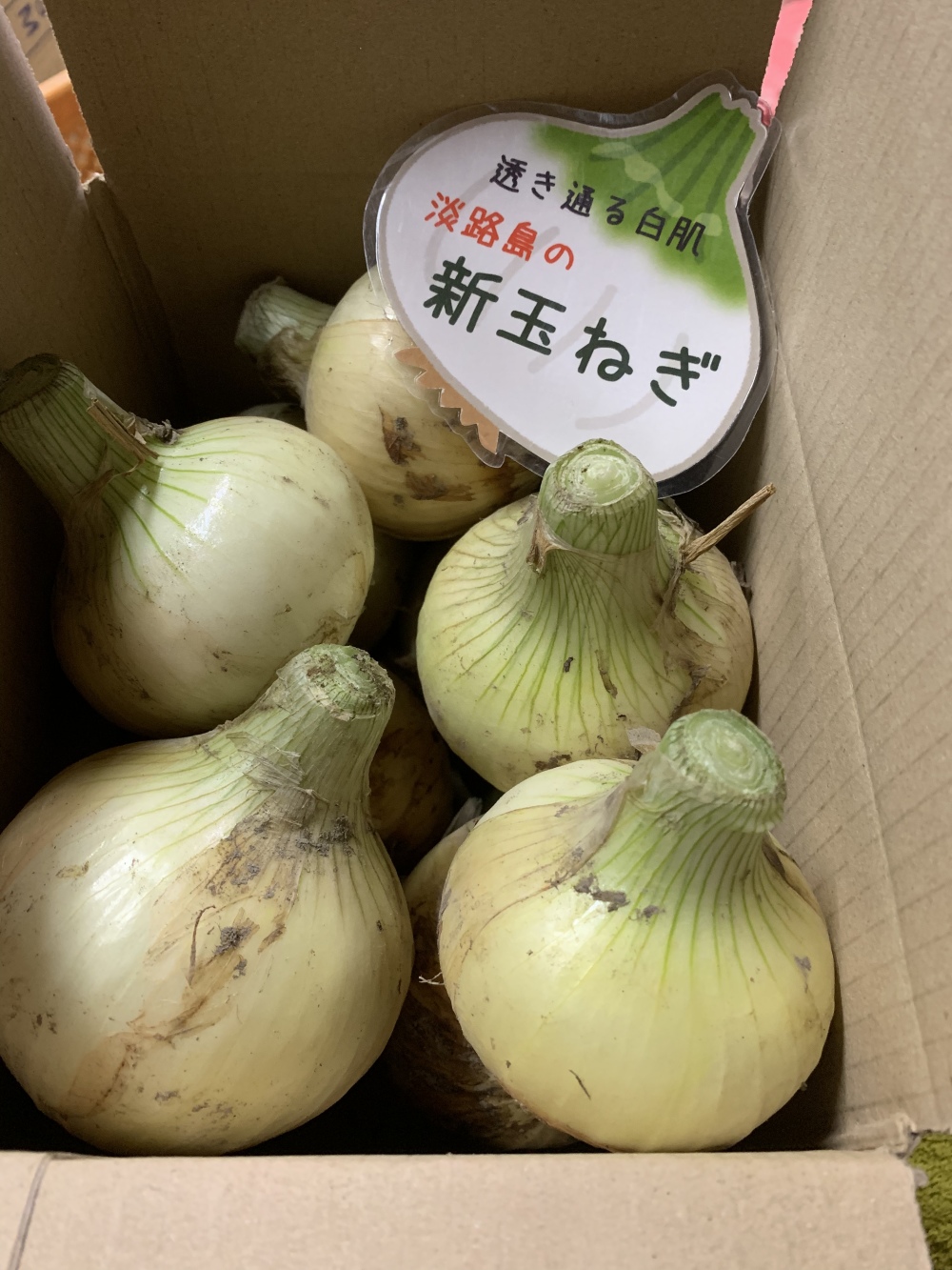 誕生日プレゼント 野菜 玉ねぎ 淡路島極熟玉葱訳あり5kgシャーロットオニオン 産地直送