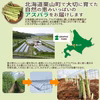 北海道栗山町産 太め3L～Lサイズ 春の朝どれ濃厚グリーンアスパラ【4月発送】