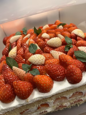 みんなの投稿の画像