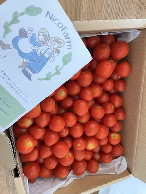 みんなの投稿の画像