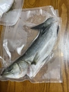 漁師が激選！瀬戸内海の幸‼︎下処理済み2キロセット　