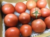 【数量限定お年玉価格】東京ドリーム感謝のトマト