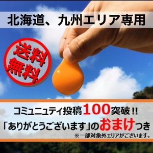 ドドンっと送料0円＆おまけ付き‼　濃厚自慢の名古屋コーチン卵36個入‼