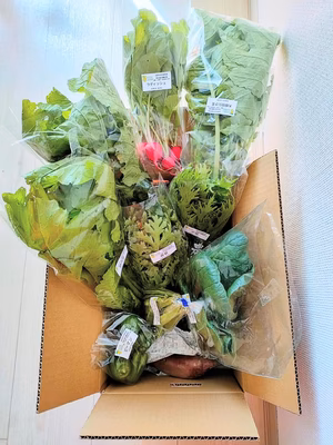 みんなの投稿の画像