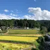 2023年産　特別栽培米コシヒカリ(白米)