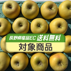 【送料無料】シャキシャキ！サクサク！シナノゴールド 約5kg～ 信州りんご