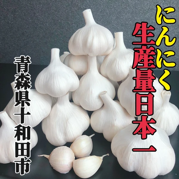 生ニンニク10kg サイズMメイン 青森県産 - 野菜