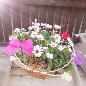 プレゼントに！アイアンバスケット&ヤシマットお花バスケットの寄せ植え