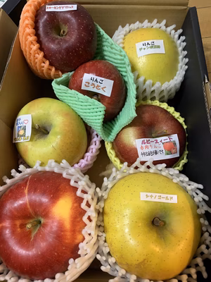 みんなの投稿の画像