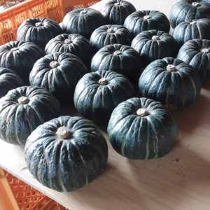 ハロウィンにピッタリ！北海道産の甘～い坊ちゃんかぼちゃ