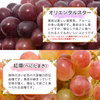 【送料無料】訳あり・規格外品 品種お任せぶどう詰合せセット