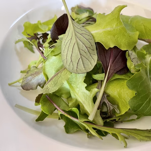 【ベビーリーフmix】農薬・化学肥料不使用　