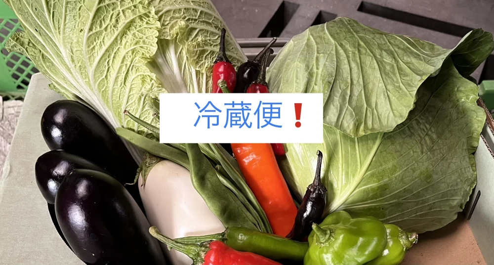 冷蔵便❗️秋の野菜おまかせセット｜野菜の商品詳細｜ポケットマルシェ