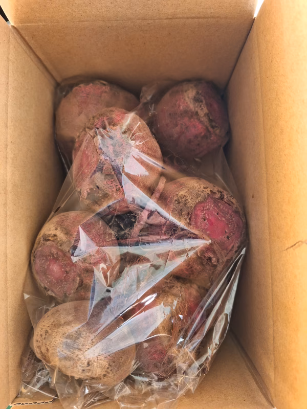 ビーツ　情熱の赤色　サイズミックス　たっぷり1.8キロ　