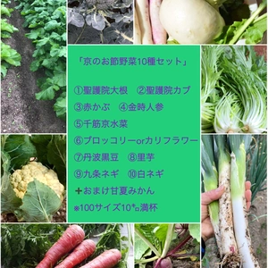 「京のお節野菜10種セット」