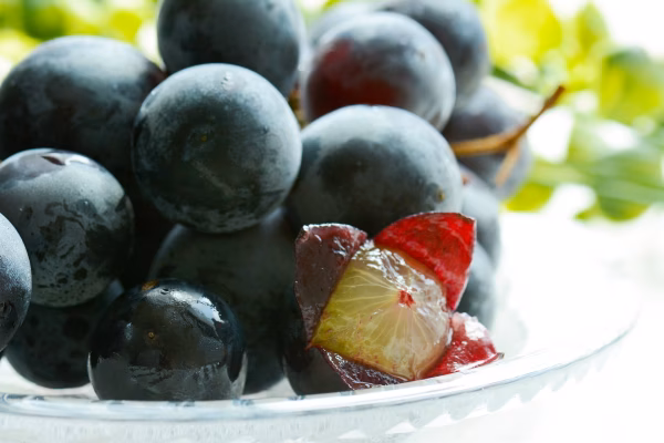 【幻の牧丘天空巨峰】日本でダントツ人気№1の絶対王者巨峰『黒系葡萄の覇者』