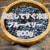 農薬不使用！収穫してすぐ冷凍にブルーベリー900g【冷凍便】