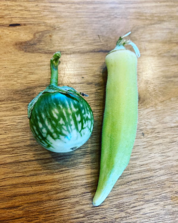 珍しいヨーロッパ野菜と旬の野菜のセット（8月前半）
