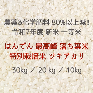 令和7年度 新米 広島県産 はんでん 最高峰 特別栽培 落ち葉米 ツキアカリ