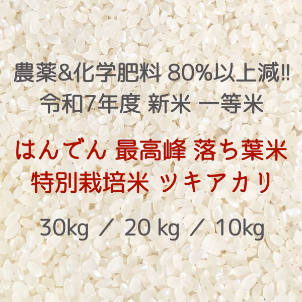 令和7年度 新米 広島県産 はんでん 最高峰 特別栽培 落ち葉米 ツキアカリ