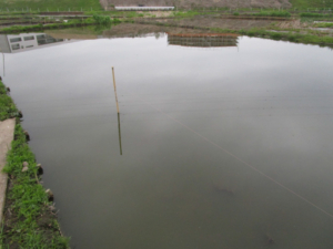 o2048153613795102175