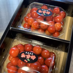 大粒さくらんぼ　２Ⅼサイズ❕紅秀峰500ｇ(250gﾊﾟｯｸ×２)
