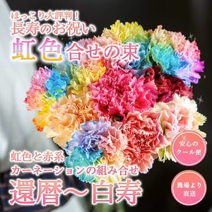 【送料無料】本数オーダOK 長寿を祝う虹色と赤系の大輪カーネーション合せ