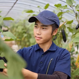 一安波輝 | プラントワン