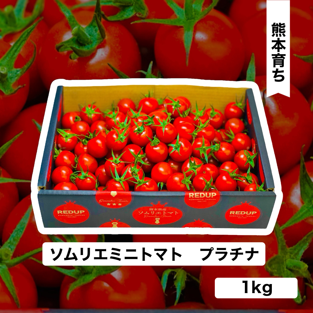 熊本ミニトマト注文ページ - 野菜