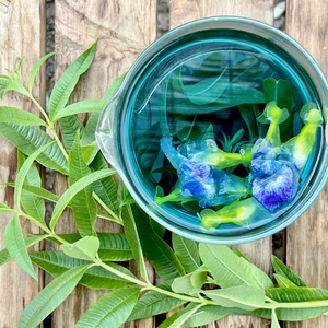 [アレンジ色々！レシピ付き] レモンバーベナとバタフライピー