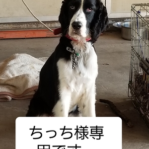 ちっち様専用です。