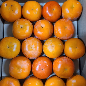 ☆富有柿☆家庭用大容量Mサイズ二段３６個入り（約7.5㎏）