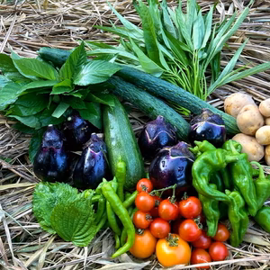 旬をそのままお届け！！皮ごと食べれる農薬不使用・在来種の棚田野菜セット！