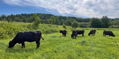 【つながるポケ○（マル）日記】北の大地で「命をいただく」を学ぶ—おやこ地方留学プログラムのご紹介