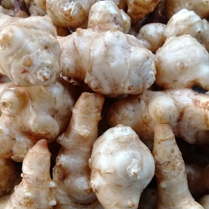 自然栽培(農薬・肥料不使用)キクイモ1kg～5kg
