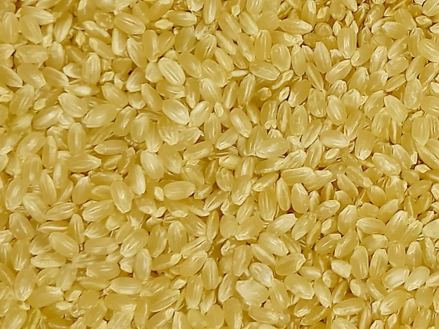  【初めての玄米食】の方へ♡炊き方ﾚｼﾋﾟ付 コシヒカリ玄米2㎏