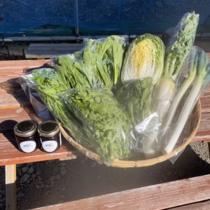 冬野菜5品種とブルーベリージャム2個のセット