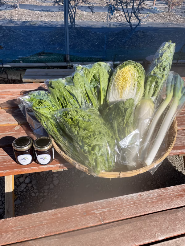 冬野菜5品種とブルーベリージャム2個のセット