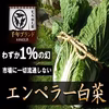【ヒルナンデス出演】一般市場に流通しない『幻のエンペラー白菜』