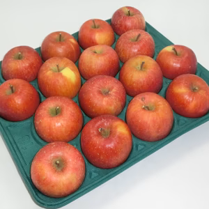 減農薬特別栽培　濃厚サンふじ　家庭用　5㌔