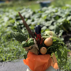 元気やさいの【雅なブーケ10種】