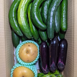 梨と野菜のセット