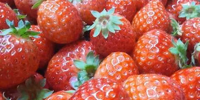 冷凍イチゴのススメ