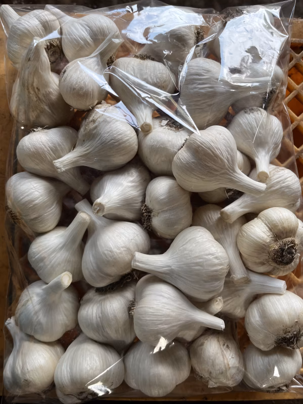 【訳あり】青森県産にんにく(小玉)